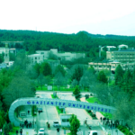 Süleyman Demirel Üniversitesi 311 sözleşmeli personel alımı yapacaktır.